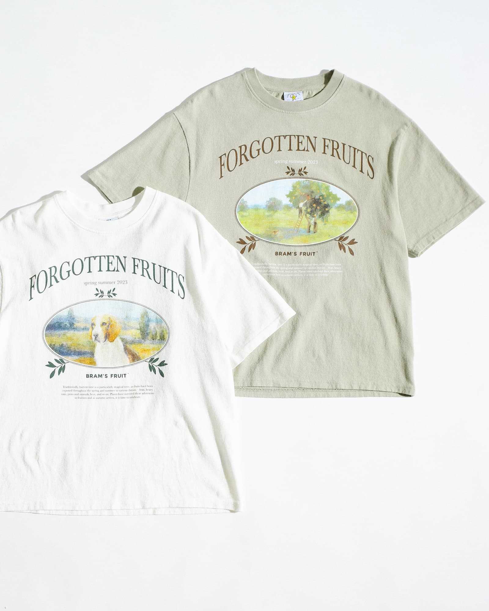 bram's fruit t-shirts groen en wit