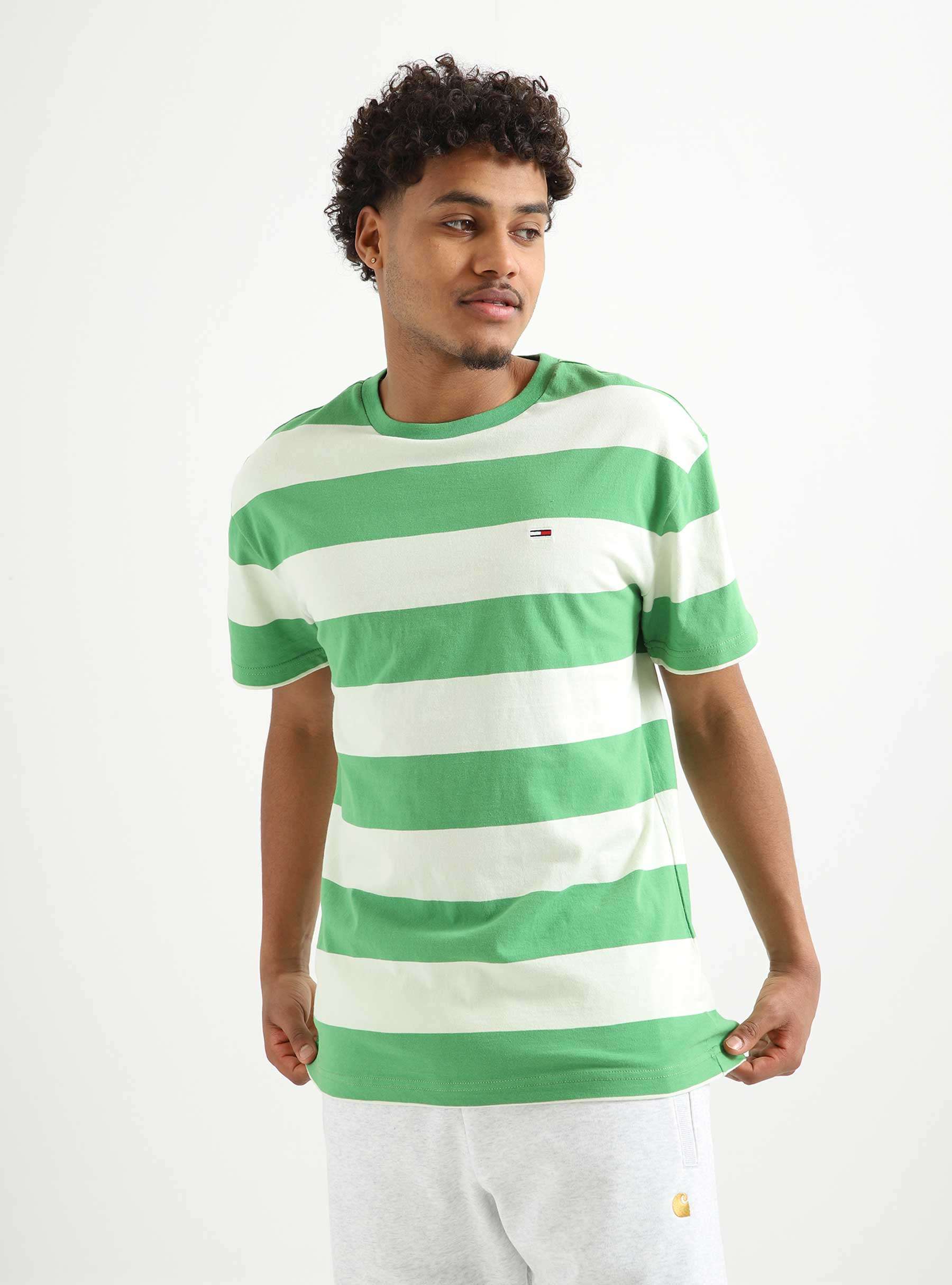 TJM Classic Tonal Stripe T-shirt Coastal Green Stripe DM0DM16308LY3