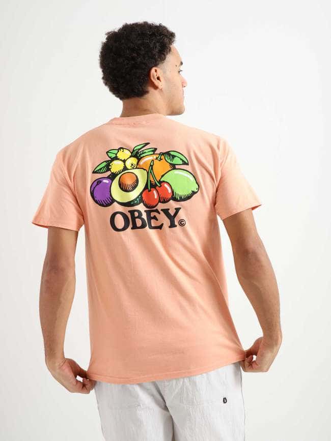 Bowl Of Fruit T-shirt Citrus 165263416