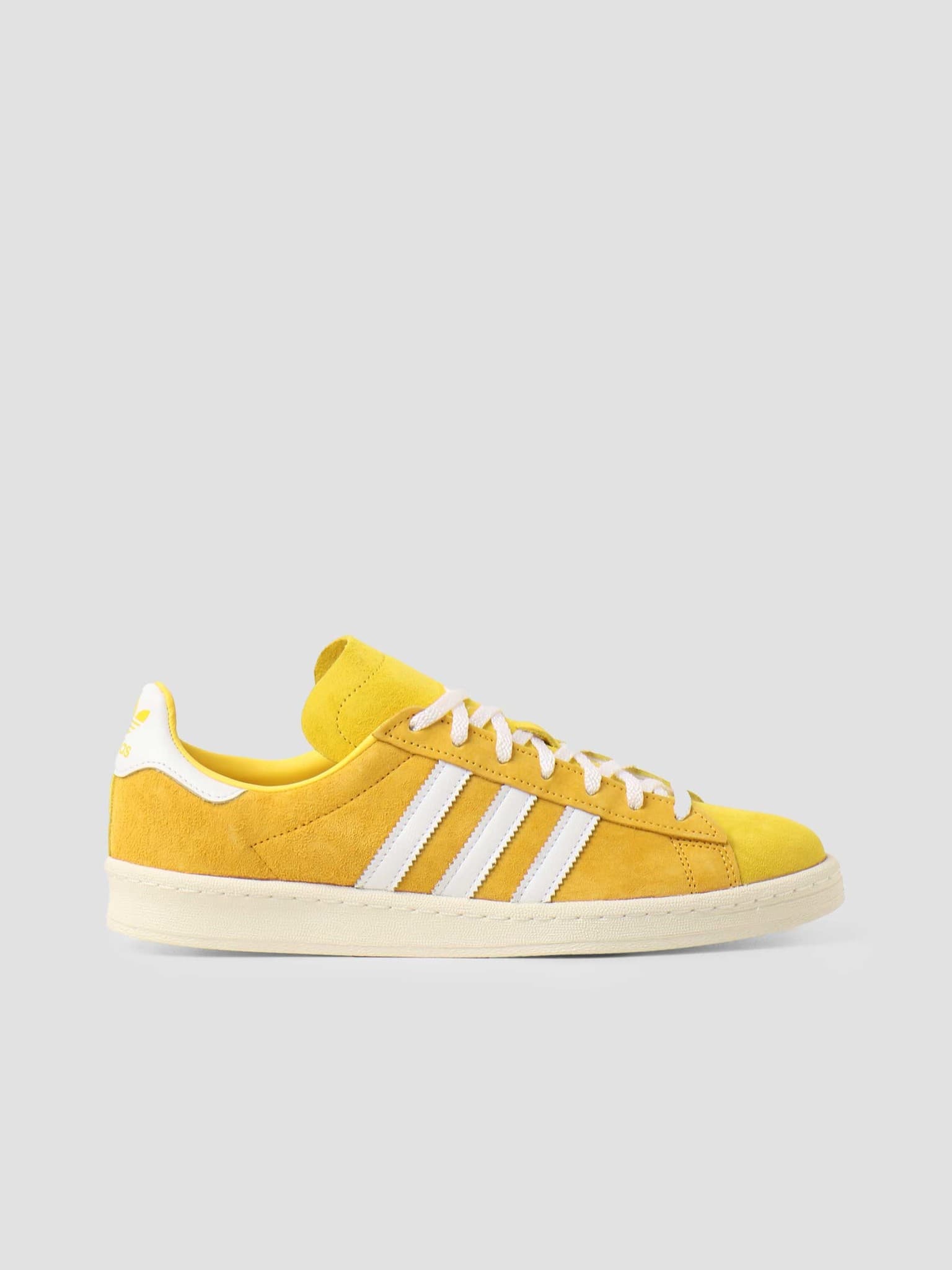 Campus 80S Yellow Gold FX5443