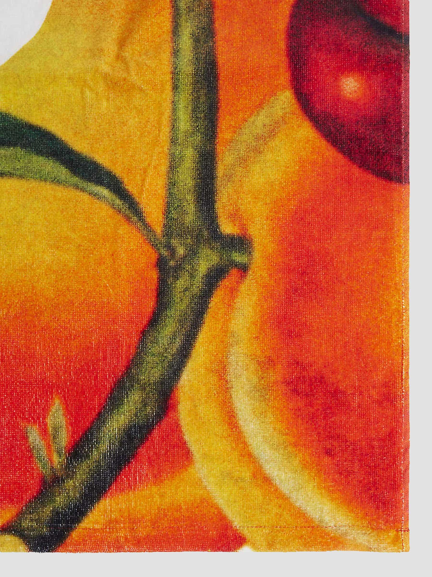 Fruits Towel Peach Multi 100060002