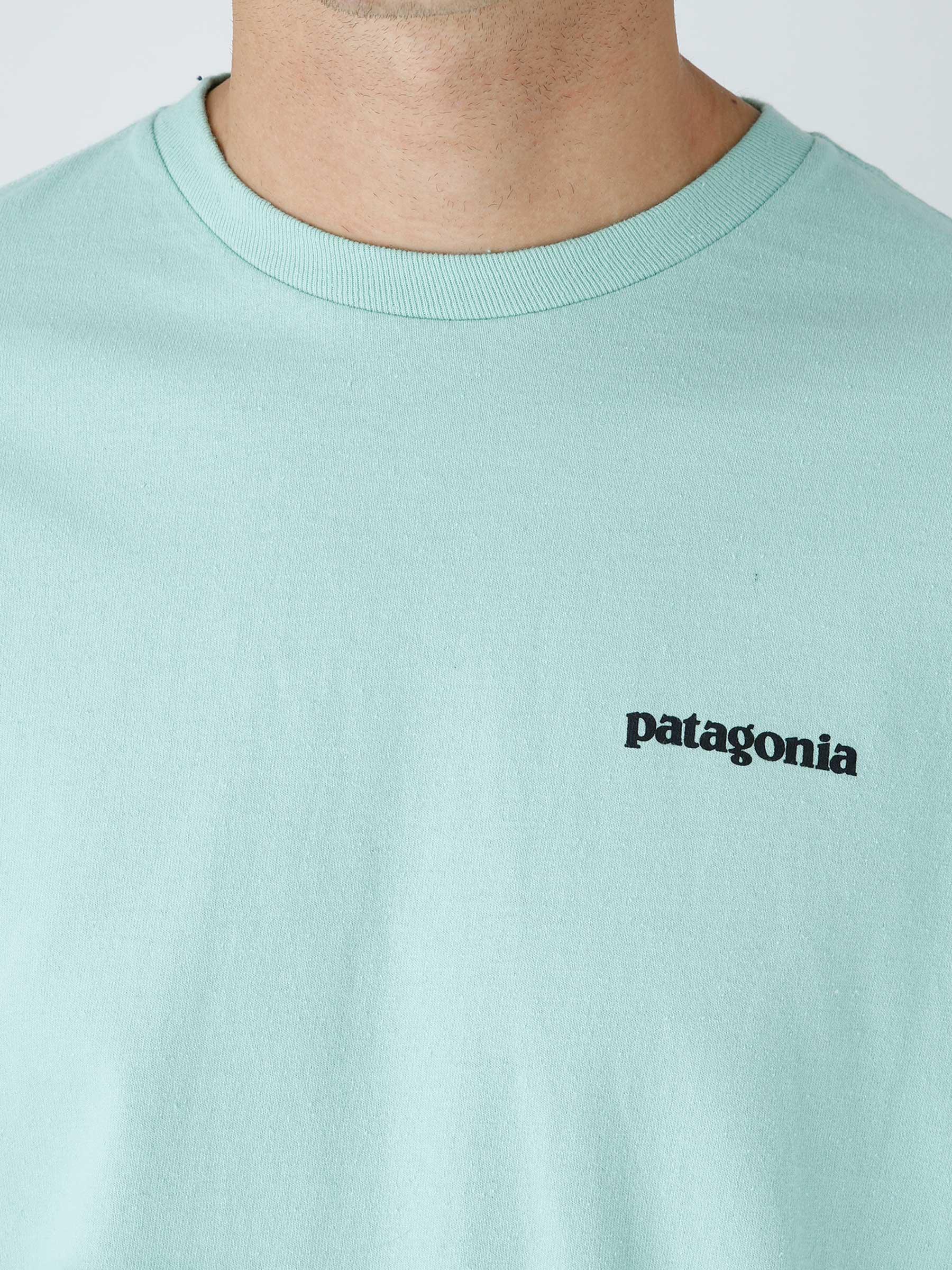 M's Longsleeve P-6 Logo Responsibili-T-Shirt Tea Green 38518