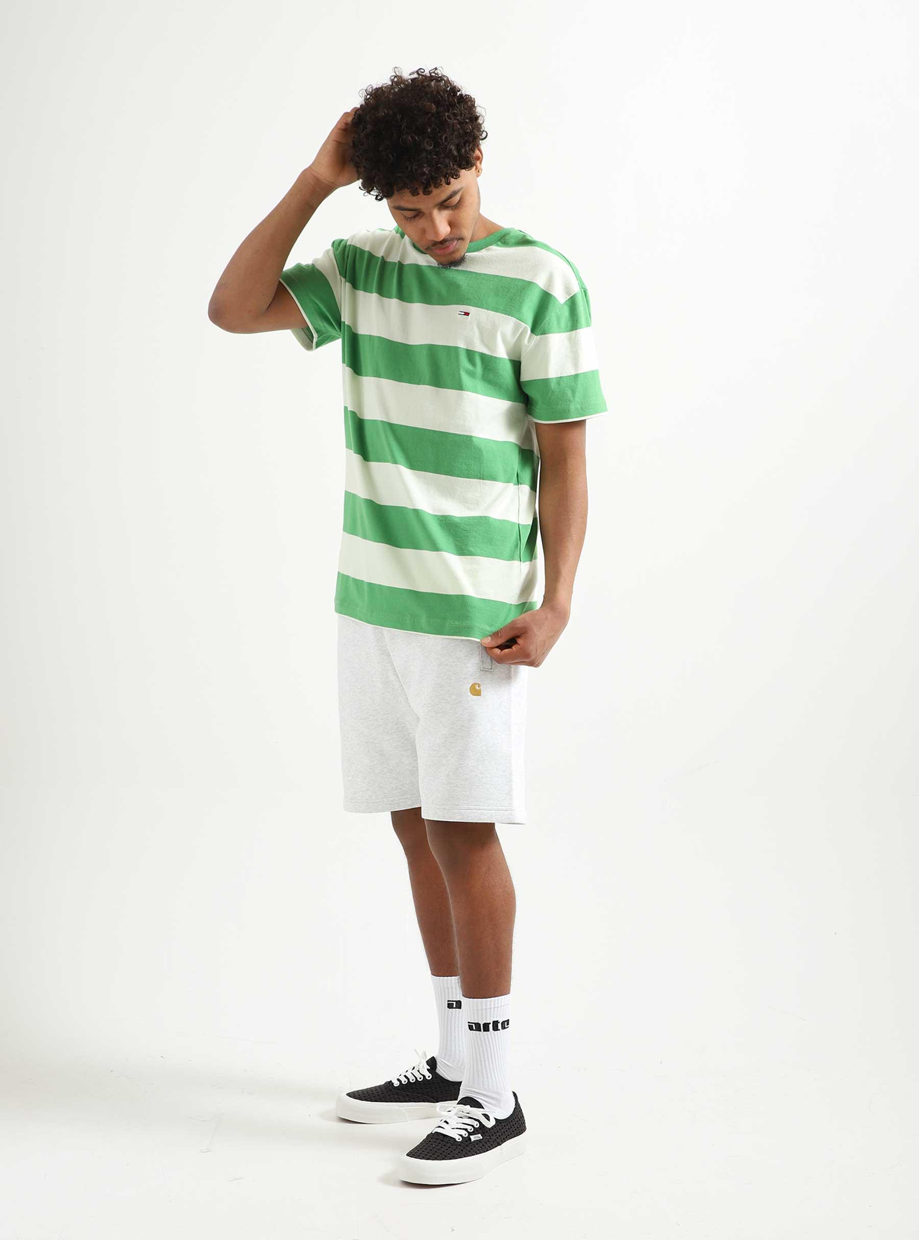 TJM Classic Tonal Stripe T-shirt Coastal Green Stripe DM0DM16308LY3