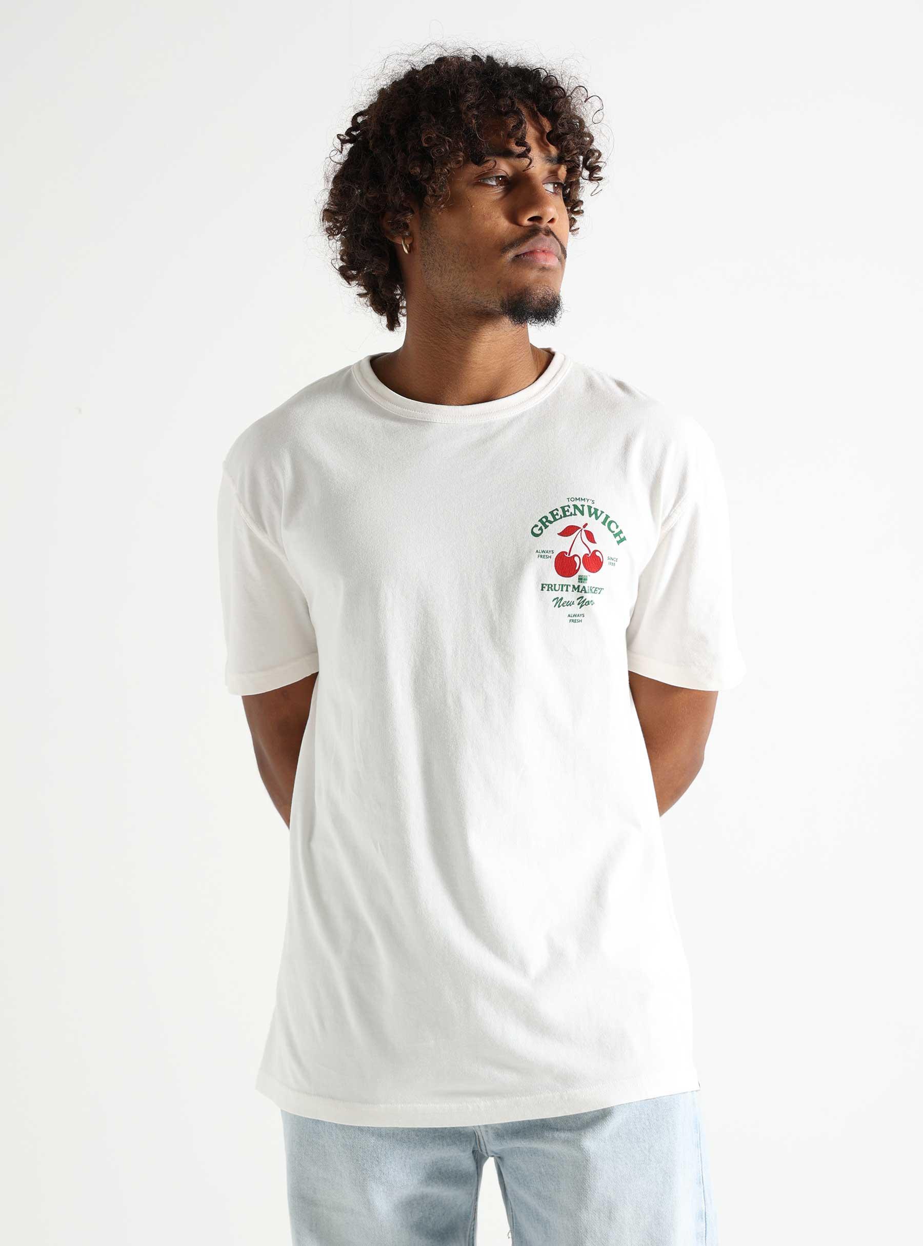 Regular Novelty Graphic T-shirt Ancient White DM0DM18593-YBH
