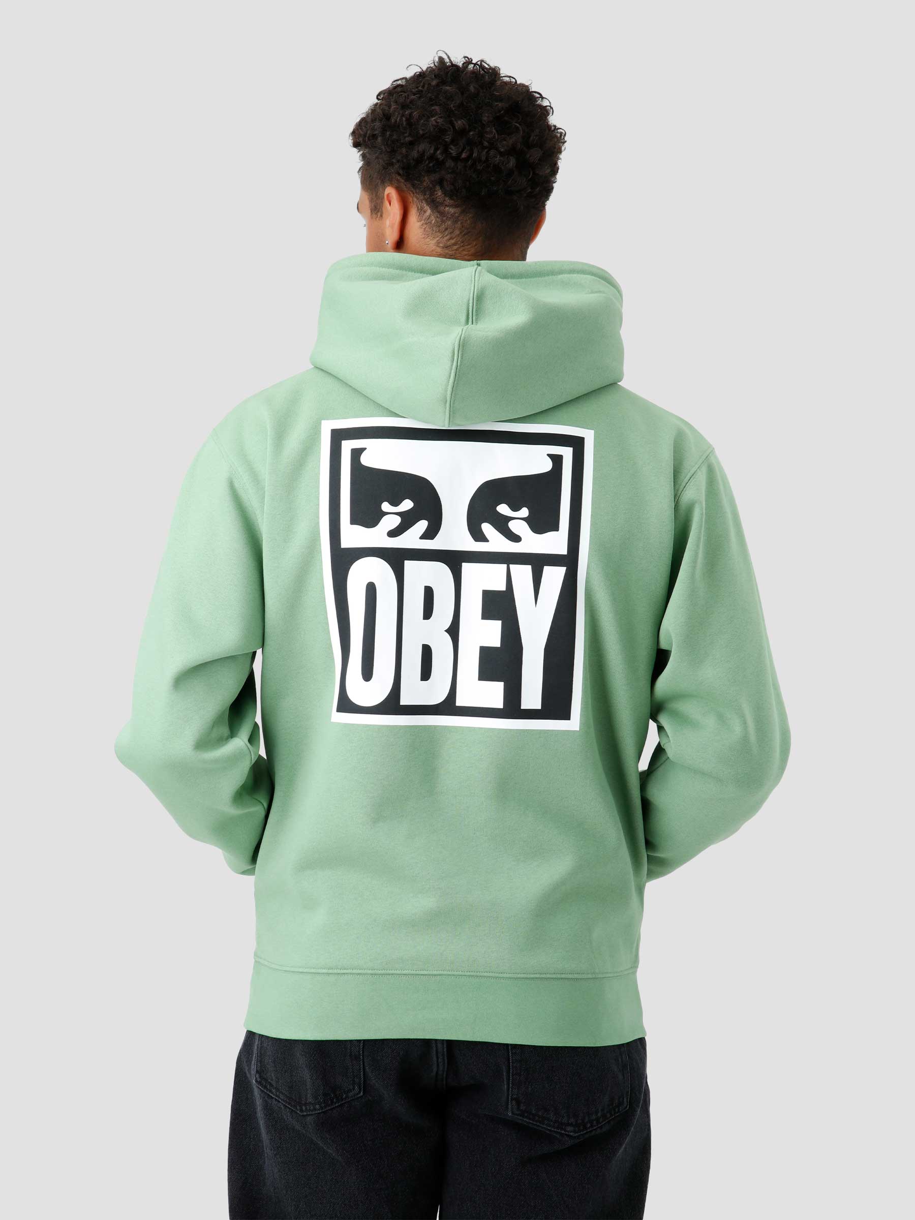 Obey Eyes Icon Hoodie Jade 112843126
