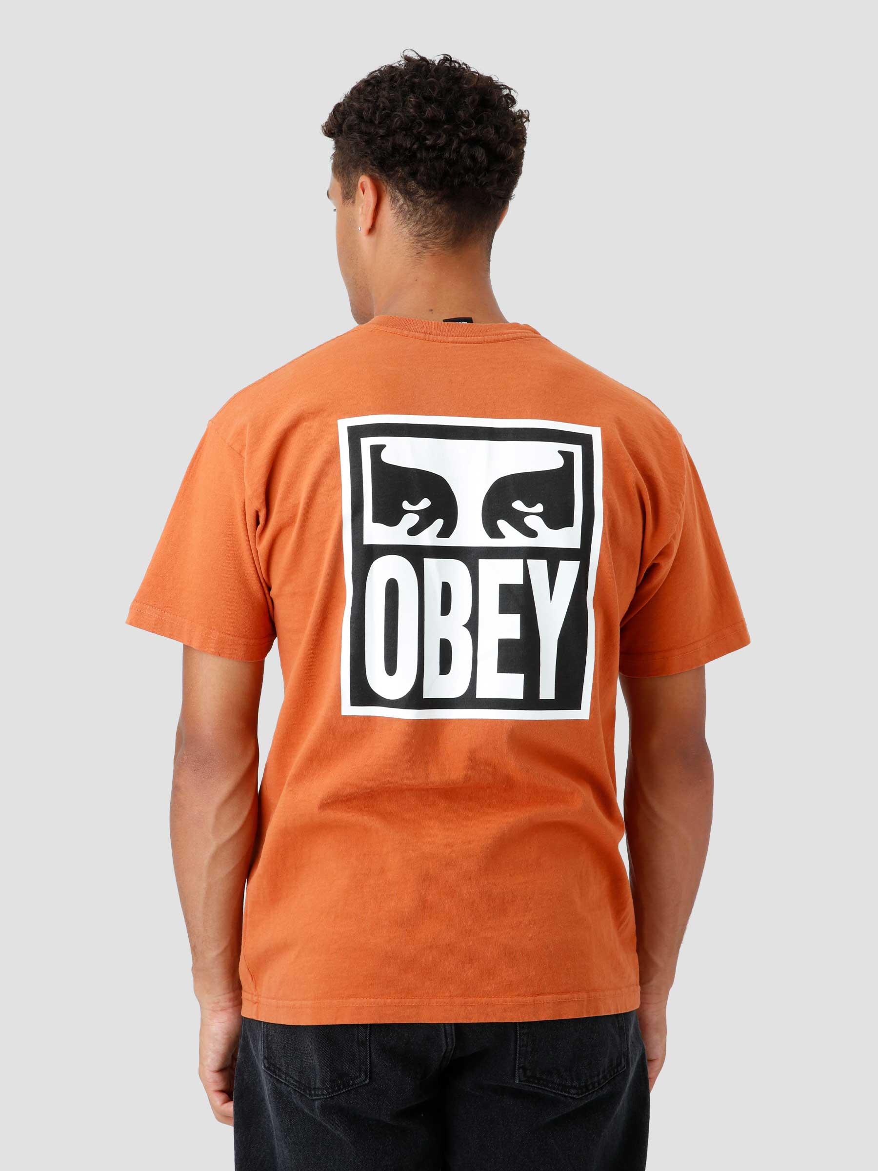 Obey Eyes Icon 2 T-shirt Bombay Brown 166912142